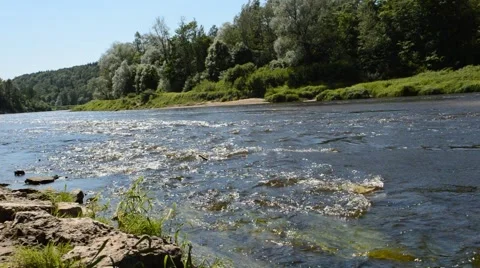 A river flows over rocks in the forest. Stock Footage 52076318