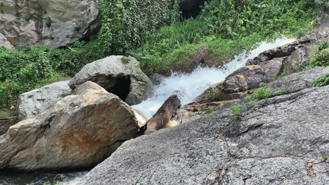 A river flows over rocks. Jungle stream. water flows across the stone. Stock Footage 247399554