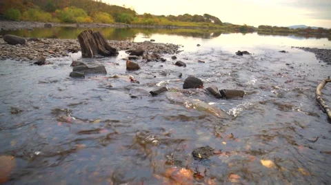 A river flows over rocks in the mountains Stock Footage 56520348