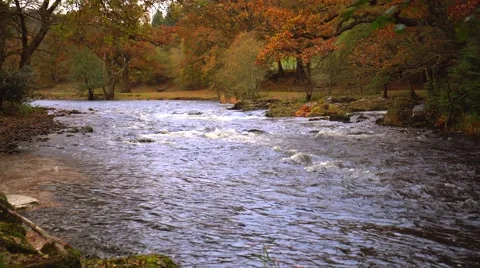 A river flows over rocks in the mountains Video stock 56520366