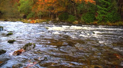 A river flows over rocks in thein the mountains Stock Footage 56520493