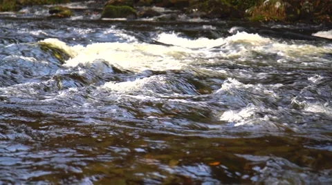 A river flows over rocks in thein the mountains Stock Footage 56520499