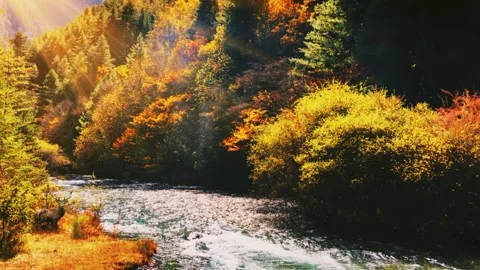 The river flows part 2 Stock Footage 218441312