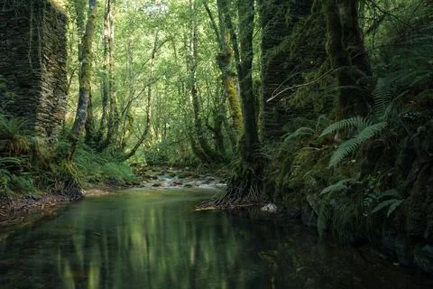 A river flows peacefully between the ancient pillars of a ruined bridge Foto stock