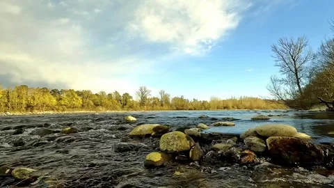 The river flows peacefully on a summer day Stock Footage 312162346