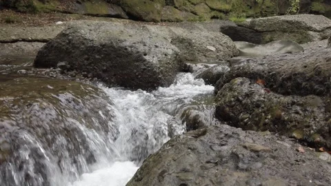 The river flows in real time Stock Footage 239714237