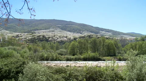 River flows to right behind rocks along valley in bloom Stock Footage 49555821