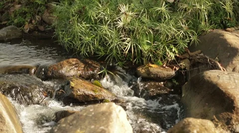 River Flows on the rocks Stock Footage 63079853
