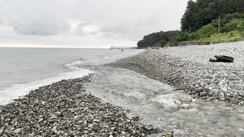 The river flows into the sea Video stock 203911624