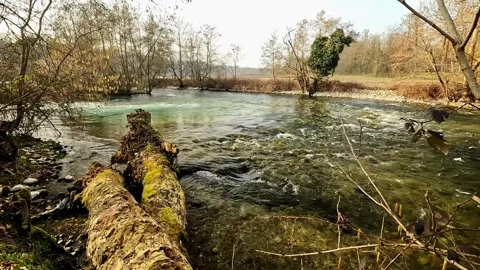 The river flows slowly in the nature reserve Stock Footage 321820394
