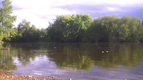 The river flows slowly - the sky is reflected in the river 스톡 동영상 78642341