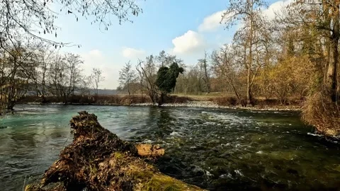 The river flows slowly on a summer day Stock Footage 321713398