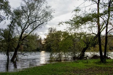 The river flows slowly through the forest Stock Photos