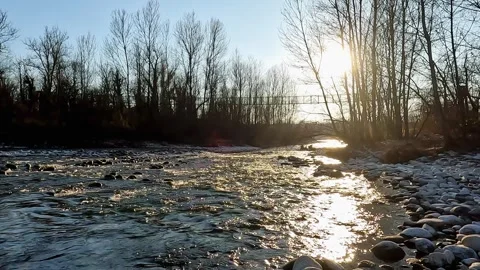 The River Flows Slowly in the Ticino Park Nature Reserve Stock-Footage 337075994