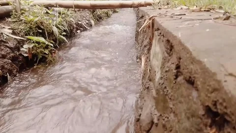 River Flows Smoothly Stock Footage 218997661