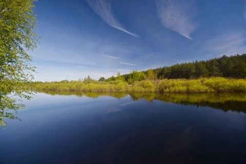 The river flows in the spring among the woods. Stock Photos