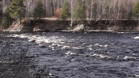 River flows in spring season Stock Footage 127297082