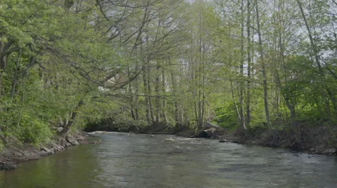 River flows in the Swedish forrest Stock Footage 64553281