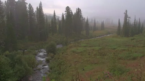 River flows through autumn valley Stock Footage 150802709