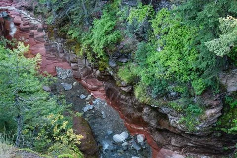 A river flows through a beautiful red rock canyon surrounded by greenery. Stock Photos