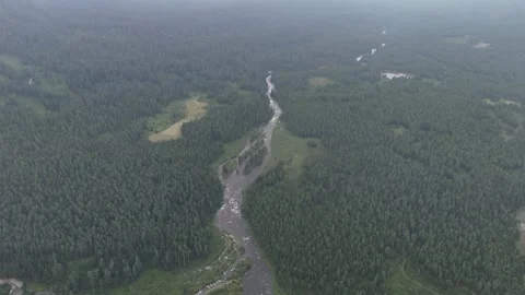 A river flows through a dense forest amidst the mountains. Stock Footage 345184740