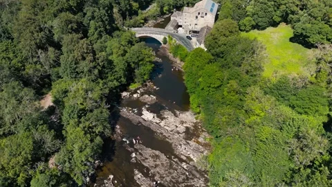 River flows through dense forested valley. Yorkshire Dales,  Ribblehead, UK, Stock Footage 346288280
