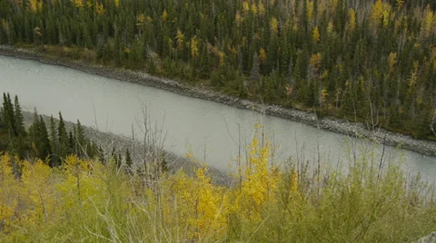 River Flows Through Early Autumn Forest Stock Footage 38095423