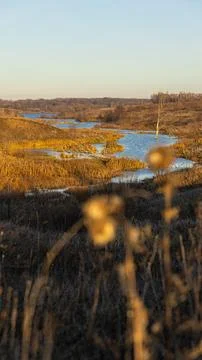 A river flows through a field with some plants in the front Stock Photos