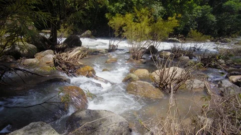 The river flows through the forest. Nangrong Waterfall Thailand. 4K Vidéo 94762617