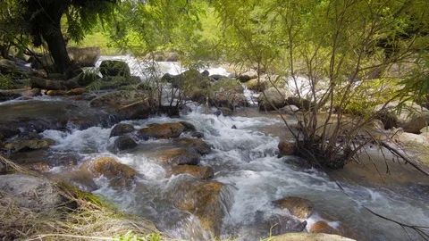 The river flows through the forest. Nangrong Waterfall Thailand. 4K 库存影片 94763205