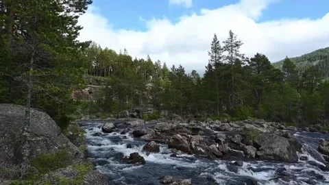 River flows through forest in Norway with rocks and trees under cloudy sky .. Stock Footage 340208188