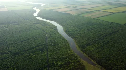 A river that flows through the forest in summer Stock Footage 160076369