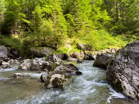 River flows through forest, surrounded by rocks and trees in natural landscap Stock Photos