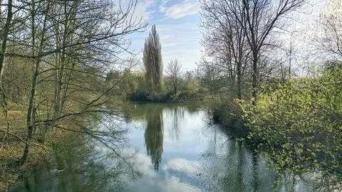A river flows through a forest under a sunny sky, creating a natural landscape Stock Photos