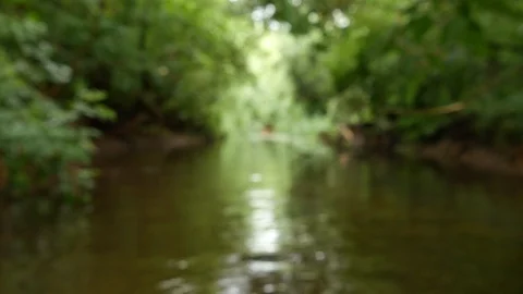 River flows through the forest unfocus Stock Footage 113195833