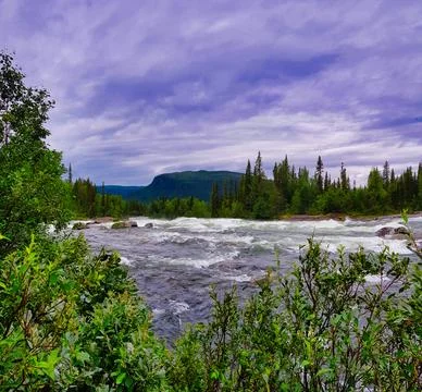 River flows through forested area under cloudy sky with mountains in distance Stock Photos