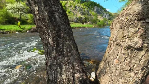 River flows through forested valley. Balkan, Eastern Europe, POV Stock Footage 333590148