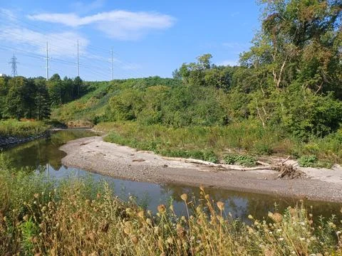 River Flows Through Green Field in Seton Park Stock Photos