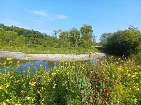 River Flows Through Green Field in Seton Park Stock Photos
