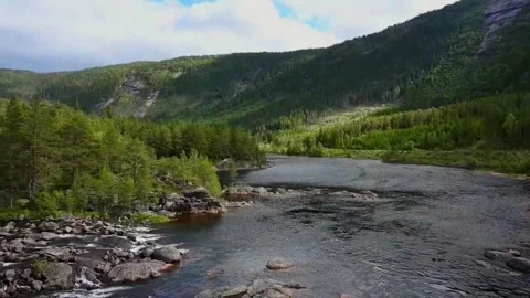 River flows through green forest in Norway during bright day in summer Stock Footage 340202902