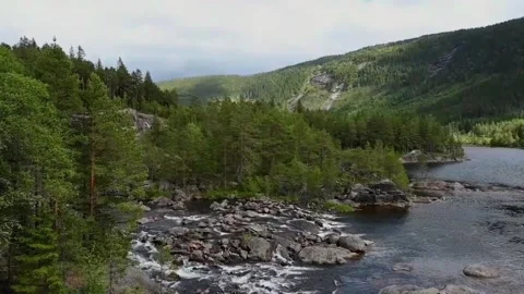 River flows through green forest landscape in Norway during daytime with hi.. Stock Footage 340216074