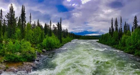 River flows through green forest under cloudy sky Stock Photos