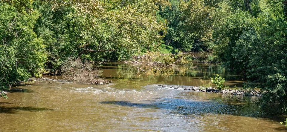 River Flows Through Green Trees on a Sunny Day Near a Peaceful Landscape Stock-Fotos