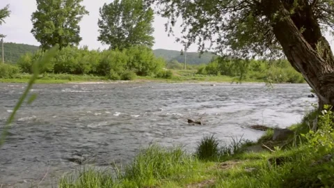 River flows through green valley. Stock-Footage 306286523