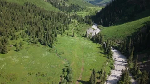 River flows through green valley surrounded by coniferous forest Video stock 312443633