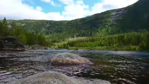 River flows through green valley near forest in Norway with cloudy sky and .. Stock Footage 340202711