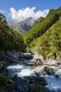 River flows through green valley Stock Photos