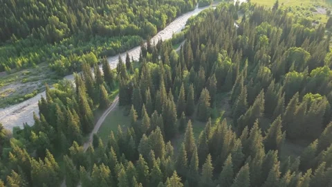 River flows through lush green forest landscape Video stock 312447958