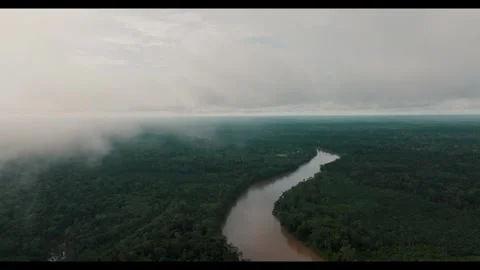 River flows through lush green landscape in morning light Video stock 320304331