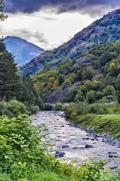 A river flows through a lush green valley with trees on both sides Stock Photos